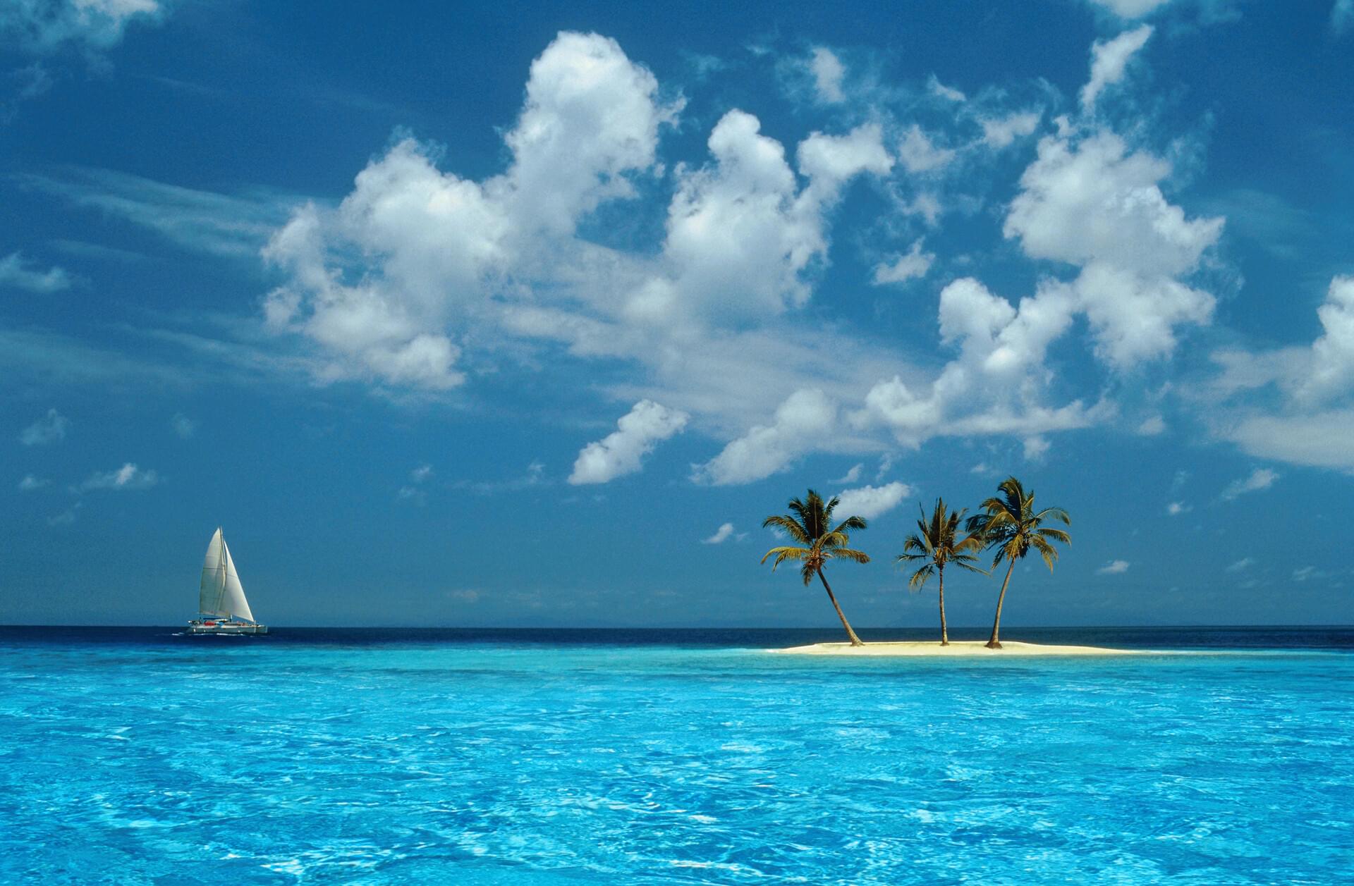 Tropical Background